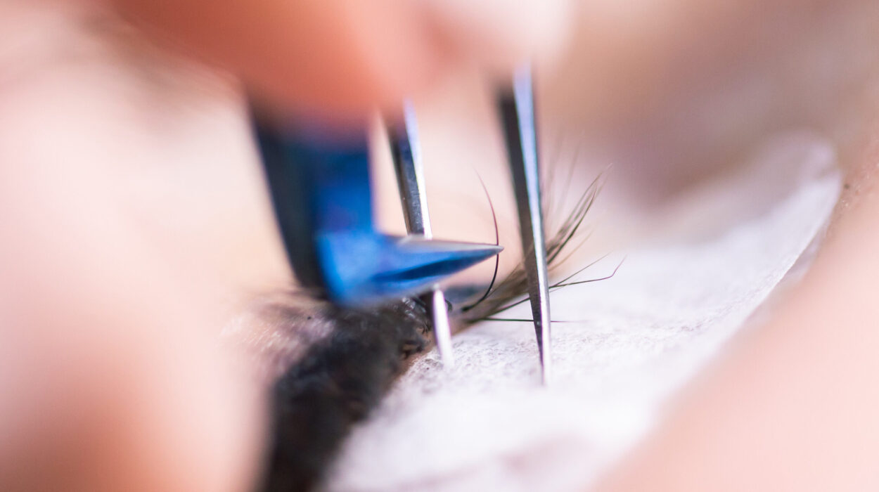 eyelash-extension-procedure-woman-eye-with-long-e-2026-01-11-10-01-04-utc-scaled